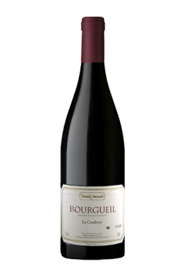 Vin Bourgogne Rouge, Bourgueil - La Coudraye