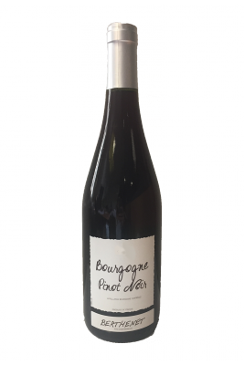 Bourgogne - Pinot Noir